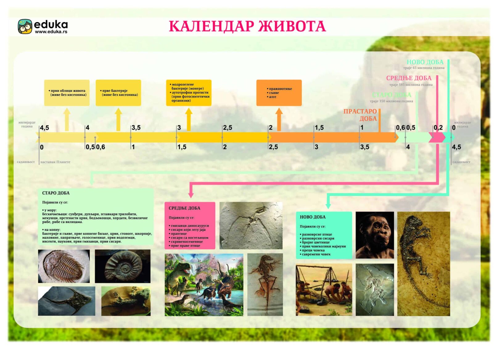 Календар живота – Едука